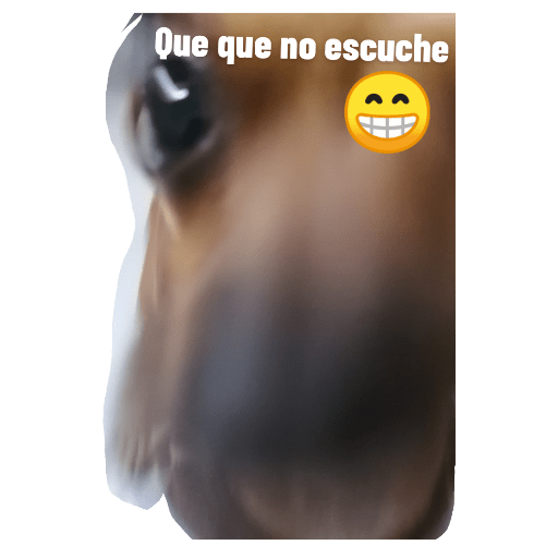 Babosadas