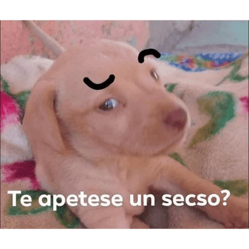 Sex 13