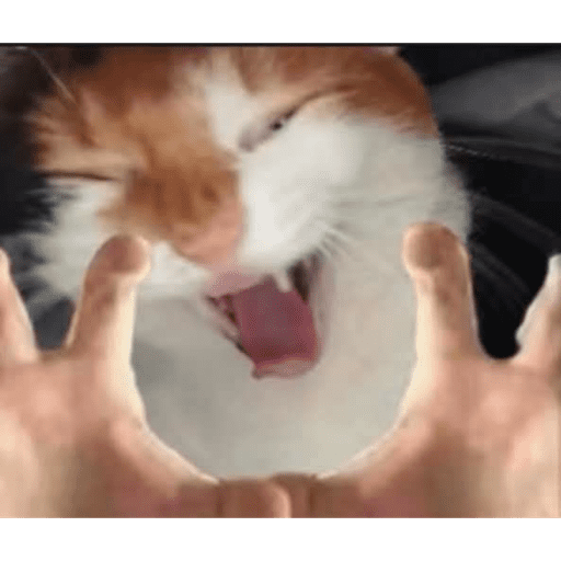 Sex