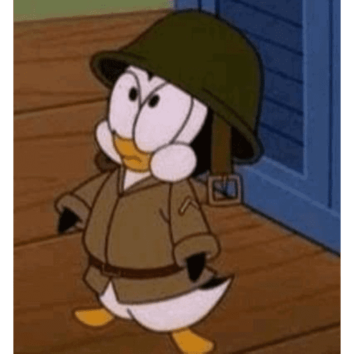 Alo puliça  22