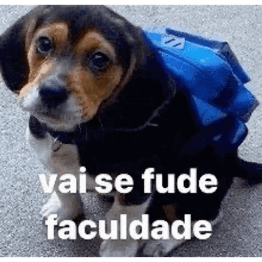 Alo puliça  12