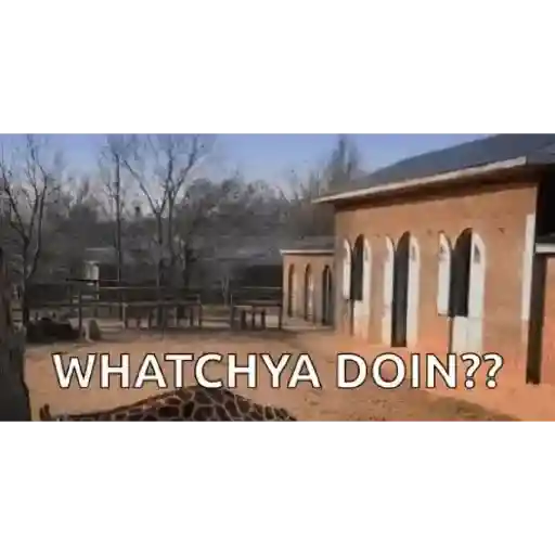 Funny 28