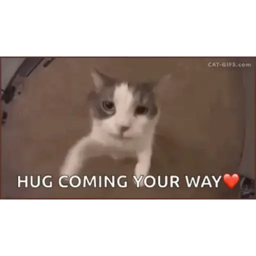 Funny 15