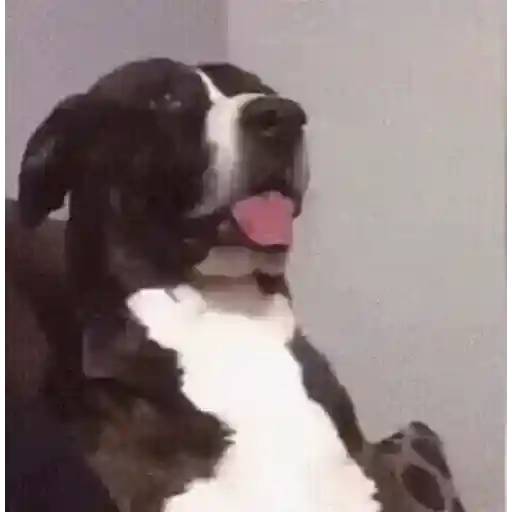 Funny 18