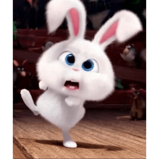 Snowball rabbit