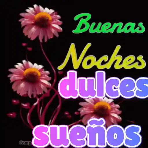 Buenas noches bb 22