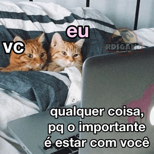 Kkkkk 6