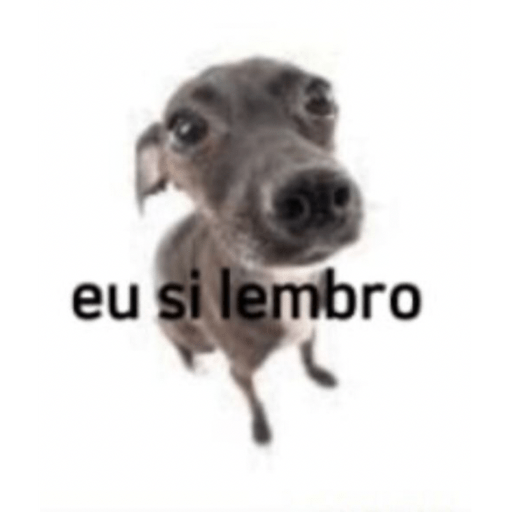 Kkkkk 13