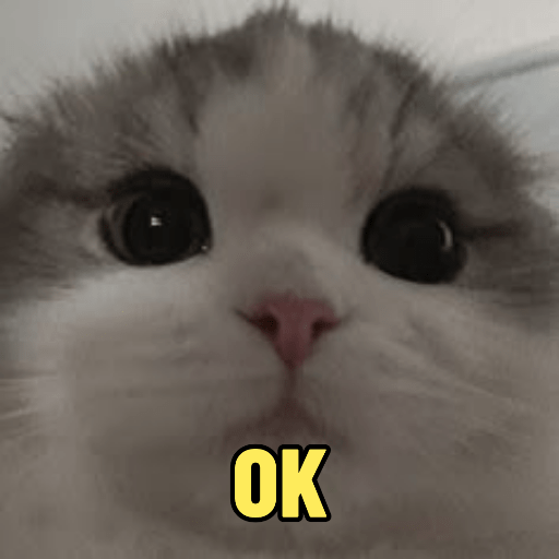 Cats 12