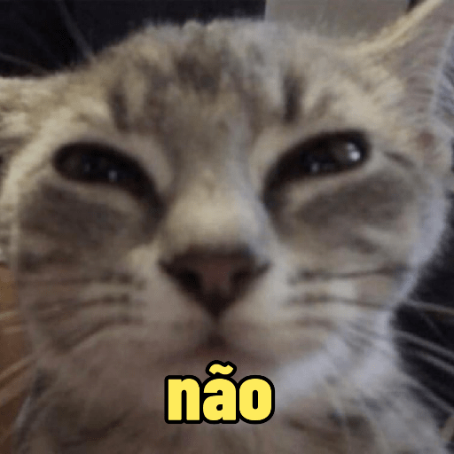 Cats 11