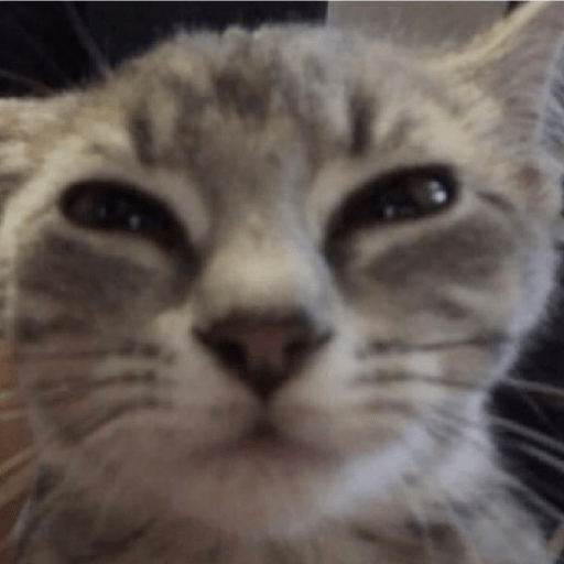 Cats 10