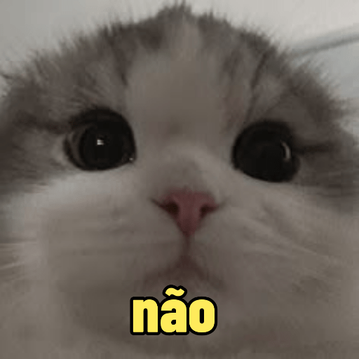 Cats 9