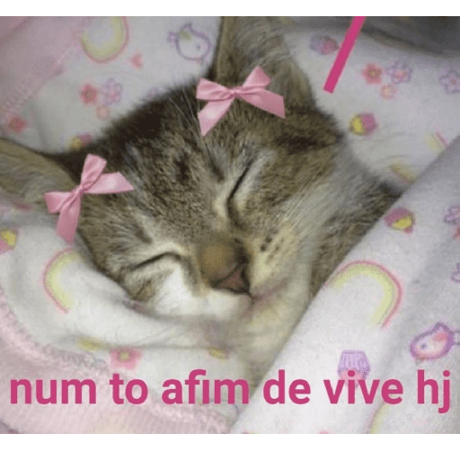 Cats 4