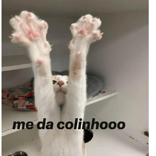 Cats 25