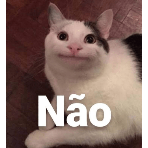 Cats 26