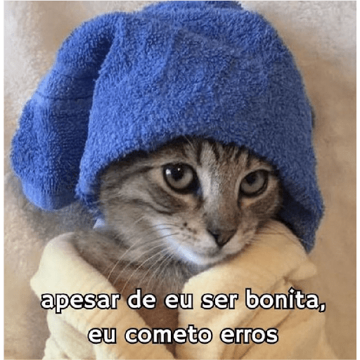 Cats 27
