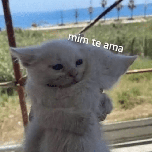 Cats 1