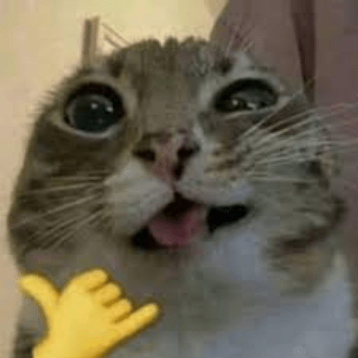 Cats 17
