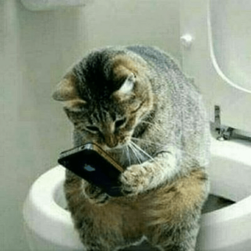 Cats 20