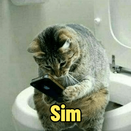 Cats 22