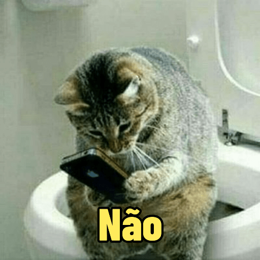 Cats 23