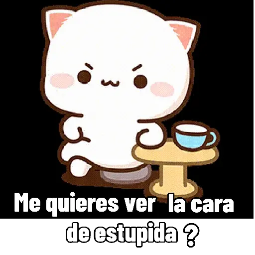 Marine gatitos 11