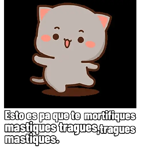 Marine gatitos 10
