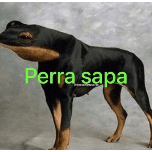 Pendejos 19