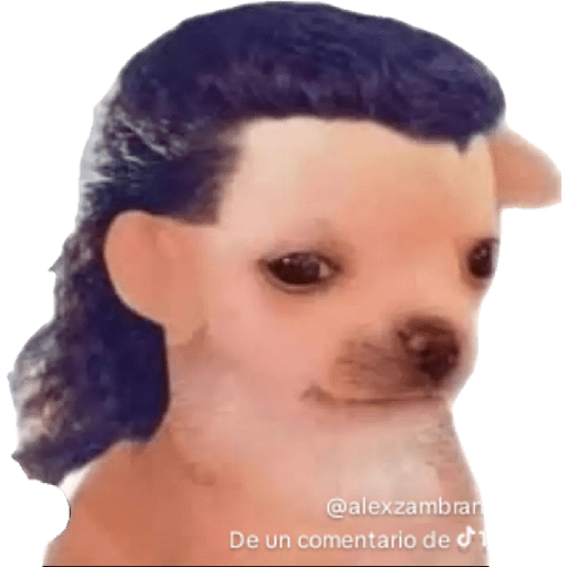 Dany 9