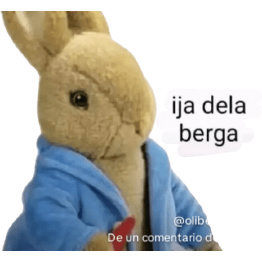 Dany 8