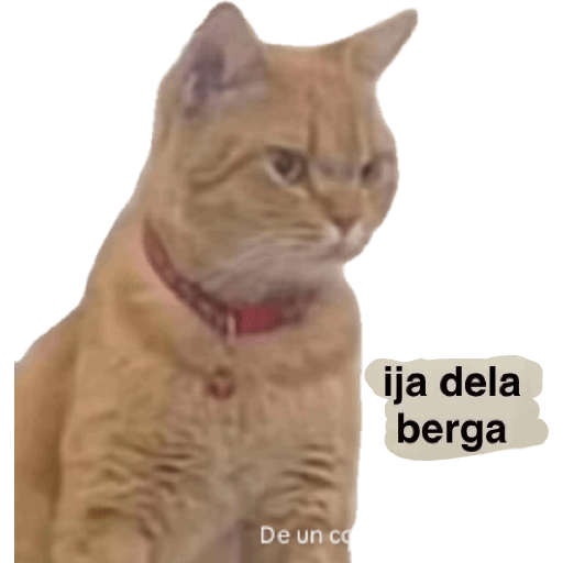 Dany 7