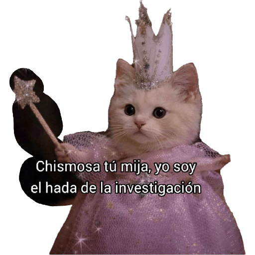 Dany 6