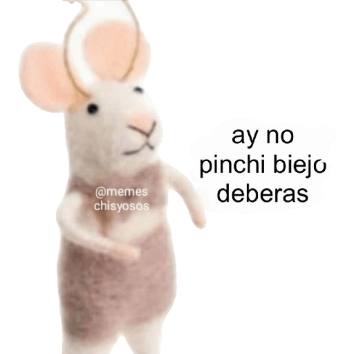Dany 5