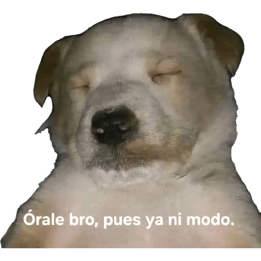 Dany 2