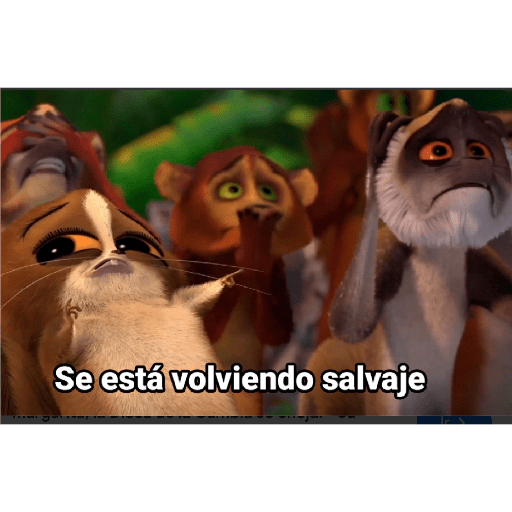 Dany 10