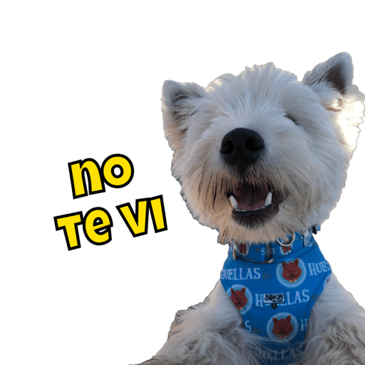 Vito  3