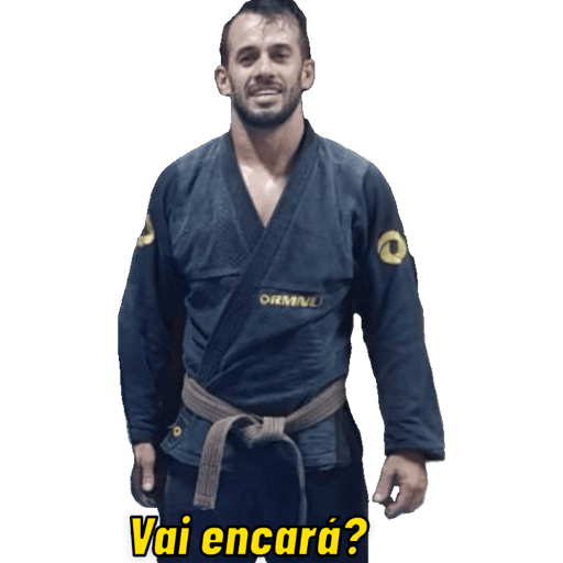 Pacote de Figurinhas 23