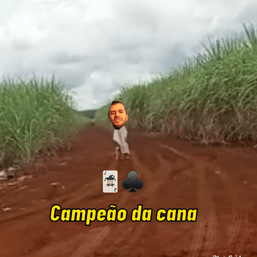 Pacote de Figurinhas 21