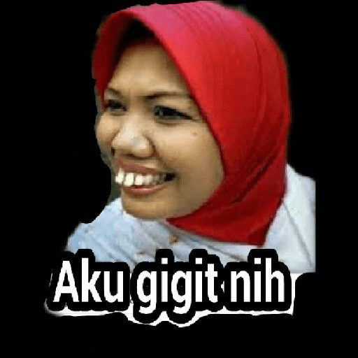 Fokus 23