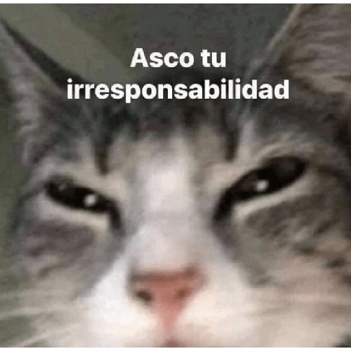 Michis 1 30