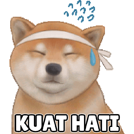 Shiba Cute 2 16