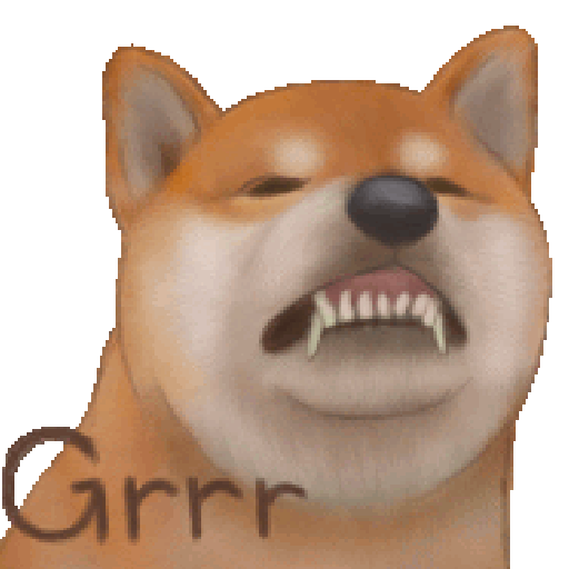 Shiba Cute 2 15
