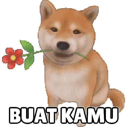 Shiba Cute 2 14