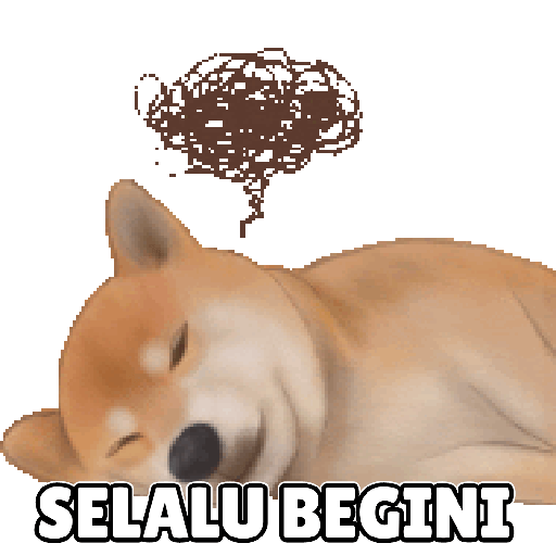 Shiba Cute 2 10