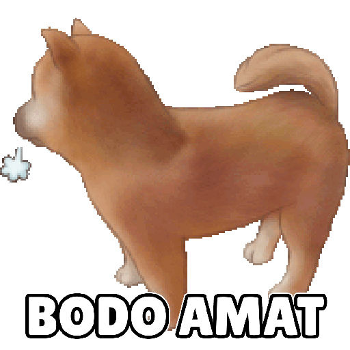 Shiba Cute 2 8