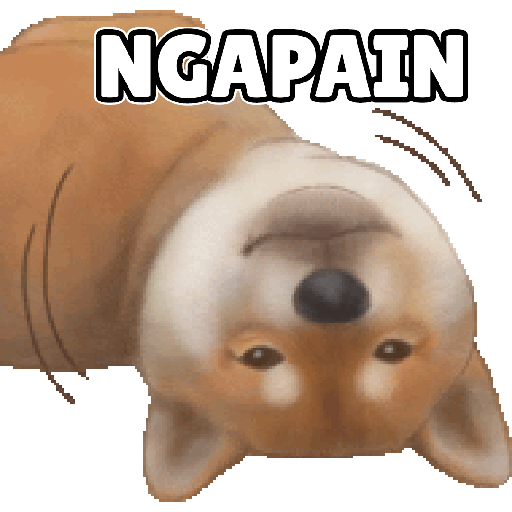Shiba Cute 2 4