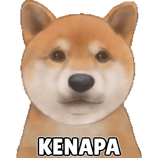 Shiba Cute 2 2