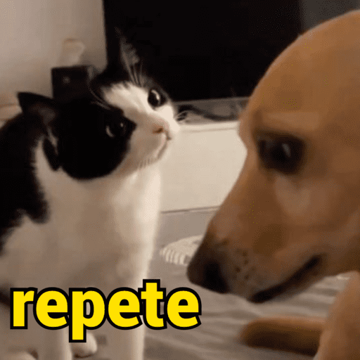 Memes & deboches 5