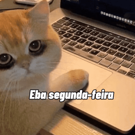 Memes & deboches 11