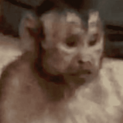 Memes & deboches 8